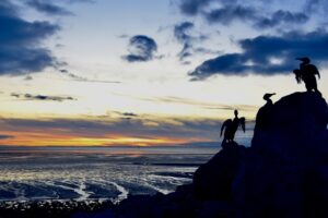 birds at morecambe bay