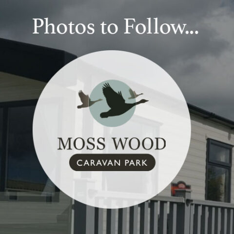 moss wood photos to follow