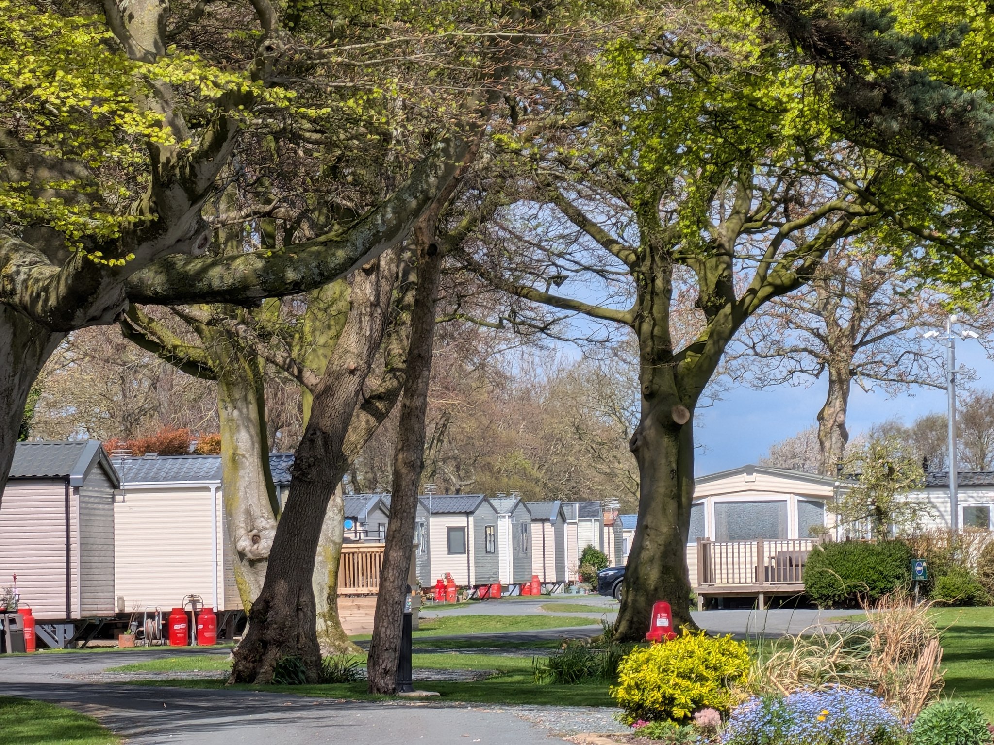 view of holiday homes through trees at moss wood
