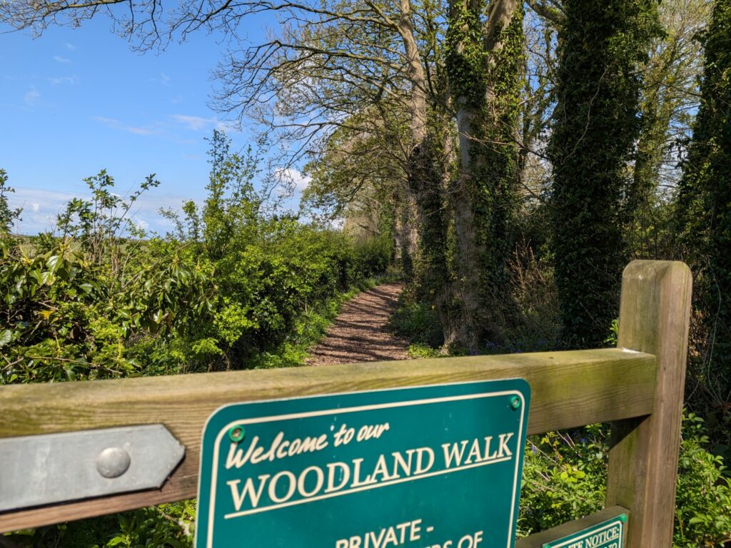woodland walk path and gate