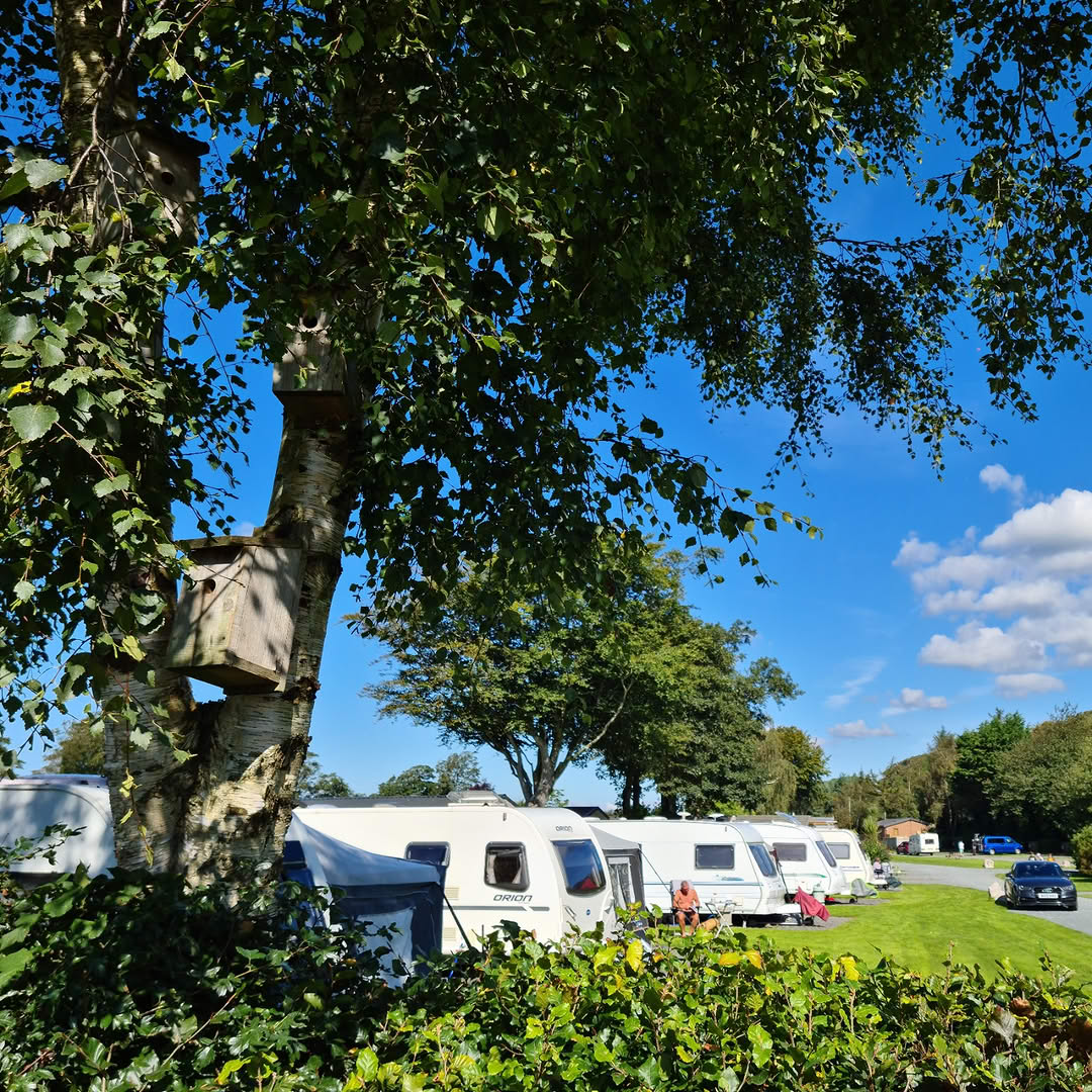 touring pitches at moss wood
