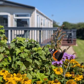 butterfly holiday home
